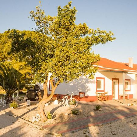 Casa Das Pipas #4 Піньял-Нову Екстер'єр фото