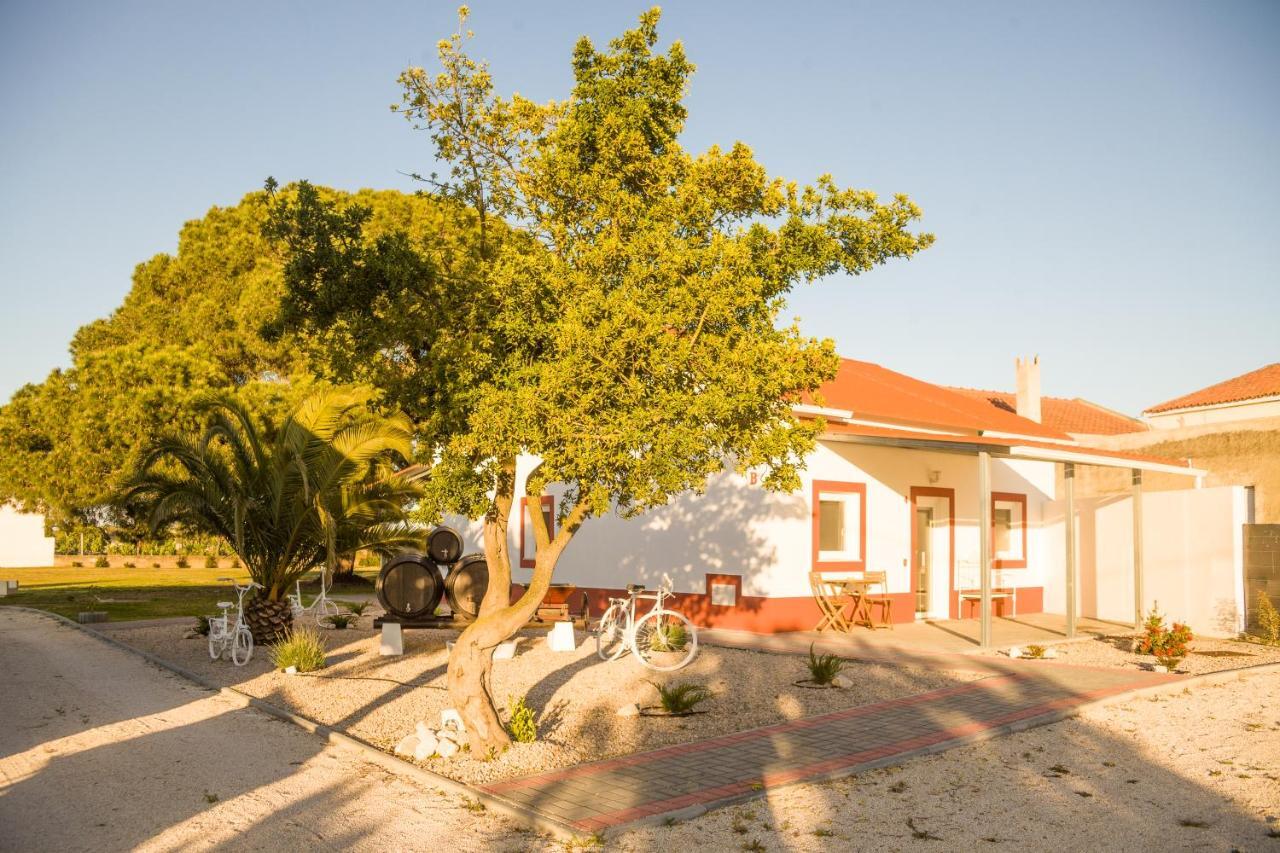 Casa Das Pipas #4 Піньял-Нову Екстер'єр фото